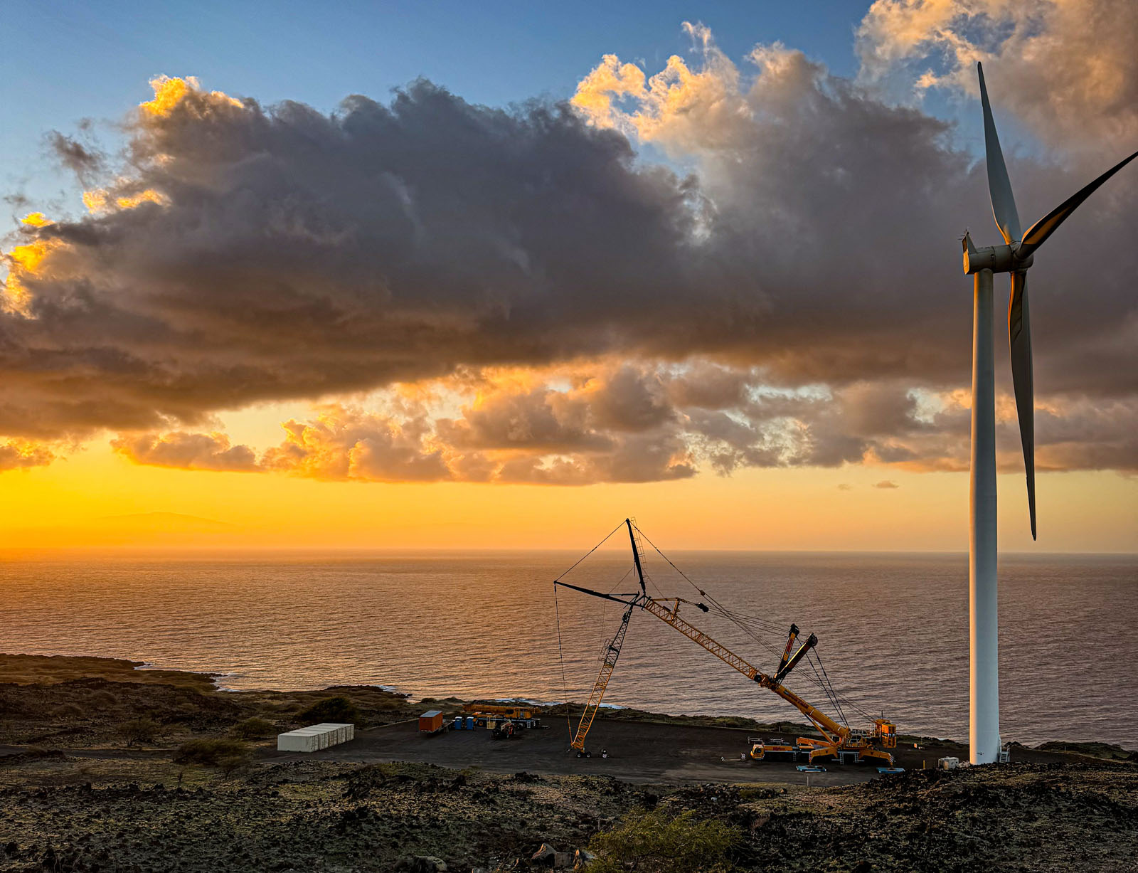 Lei of the Land: How We Get Cranes to Hawaii's Wind Farms